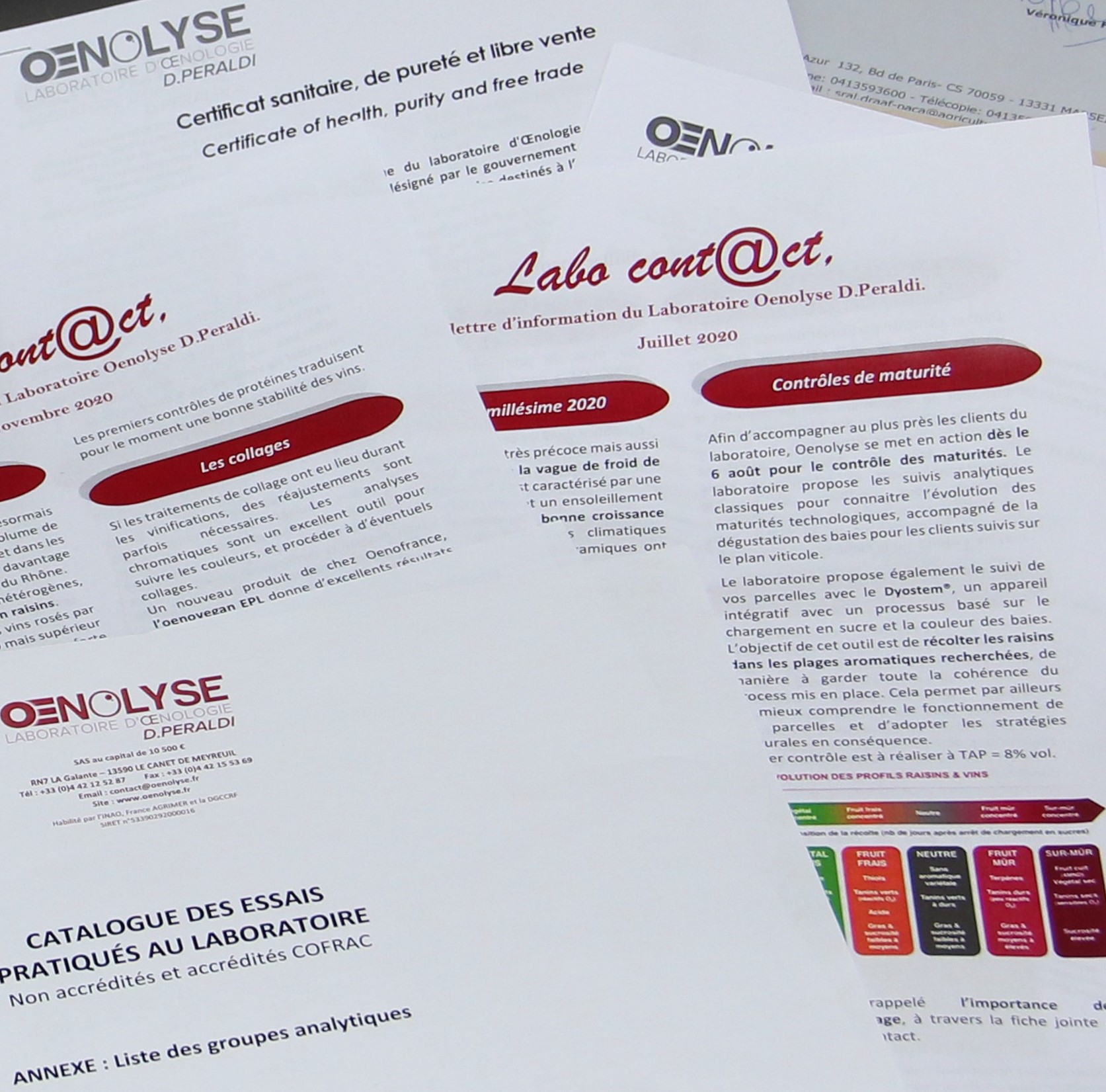 Labo Cont@ct Novembre 2025