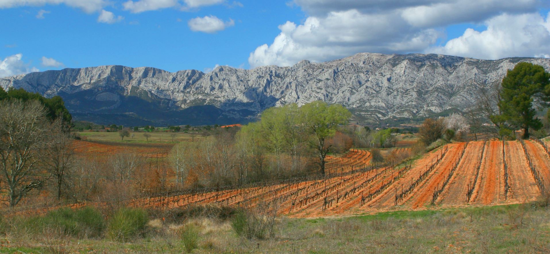 Slide #1 copy Slide background